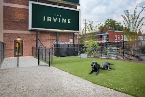 The Irvine image