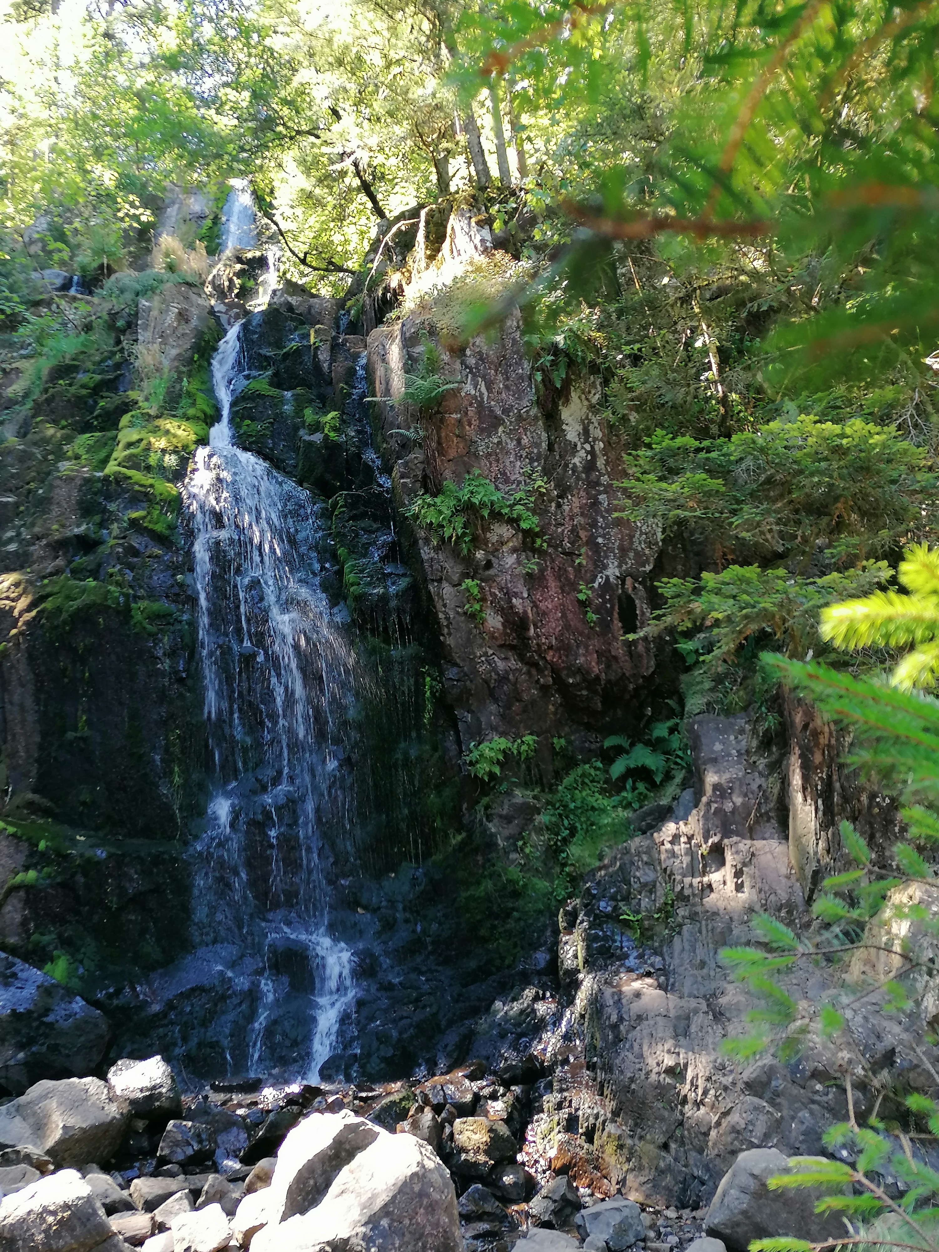 Photo n° 1 de l'avis de Gilles.. fait le 08/08/2022 à 18:01