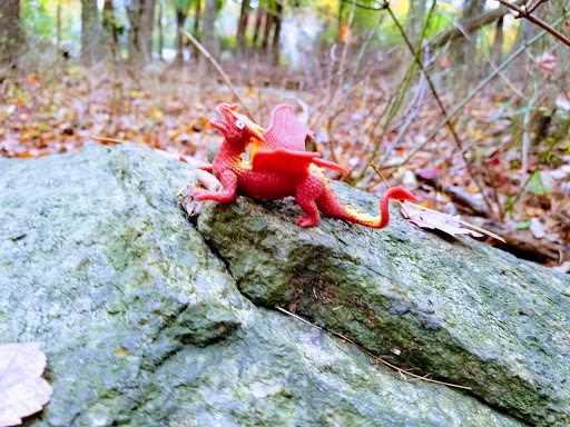 Nature Preserve «Lorrimer Sanctuary», reviews and photos, 790 Ewing Ave, Franklin Lakes, NJ 07417, USA