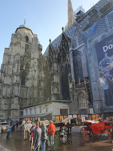Meine Fotografin Anton-Baumgartner-Straße 125/6/0/03, 1230 Wien, Österreich