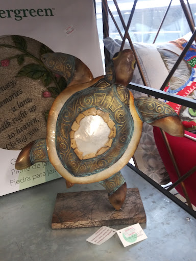 Pet Store «Just Pets», reviews and photos, 393 NY-5, Irving, NY 14081, USA