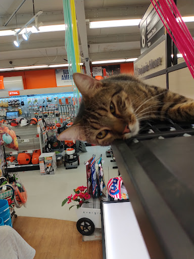 Hardware Store «Ace Hardware/Lumber of Pilot Point», reviews and photos, 316 US-377, Pilot Point, TX 76258, USA