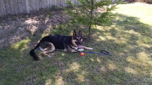 Pet Supply Store «Myrtle Avenue Pet Center», reviews and photos, 2725 Hubbard Ln, Eureka, CA 95501, USA