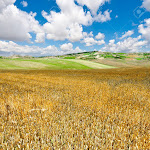 Photo n°2 de l'avis de Marco.e fait le 25/07/2023 à 17:35 sur le  i-PARK HOTEL à Reichenberg