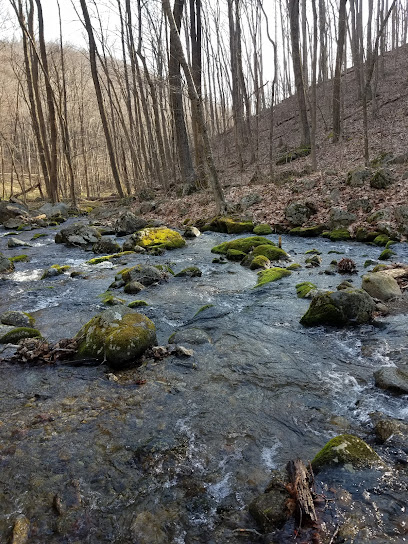 Glenwood-Pedlar Ranger District