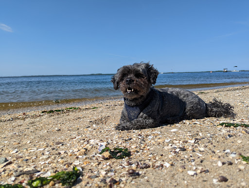Park «Henry Hudson Trail / Popamora Point», reviews and photos, Shore Dr, Atlantic Highlands, NJ 07716, USA