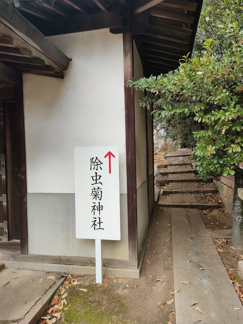 防虫菊神社