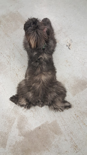 Pet Supply Store «Petco Animal Supplies», reviews and photos, 2520 E 3rd St, Bloomington, IN 47401, USA