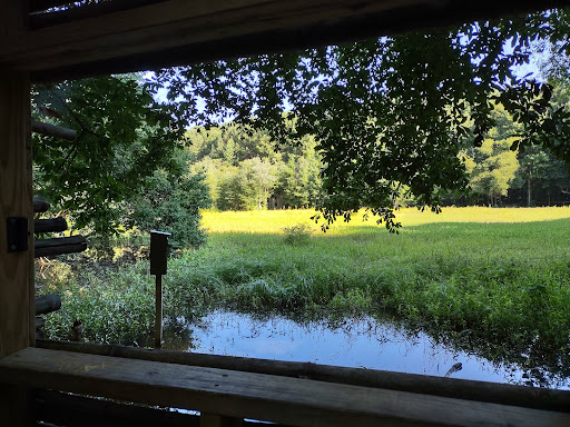 Nature Preserve «Clyde Shepherd Nature Preserve», reviews and photos, 2580 Pine Bluff Dr, Decatur, GA 30033, USA