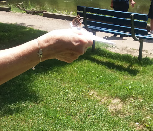 City Park «Krannert Park», reviews and photos, 605 South High School Road, Indianapolis, IN 46241, USA