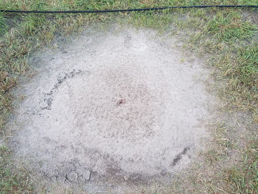 Social Services Organization «Office Of The Attorney