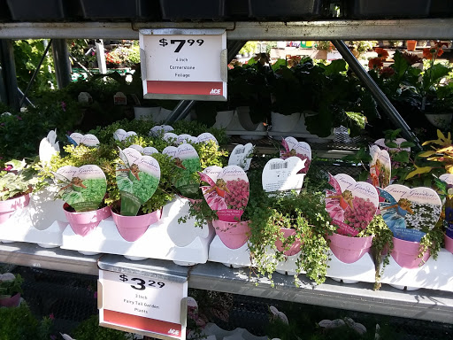 Hardware Store «Westlake Ace Hardware 080», reviews and photos, 708 S Aspen Ave, Broken Arrow, OK 74012, USA