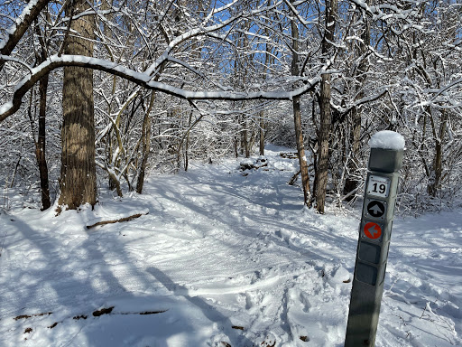 Nature Preserve «Pulaski Woods East», reviews and photos, 9600 Wolf Rd, Willow Springs, IL 60480, USA