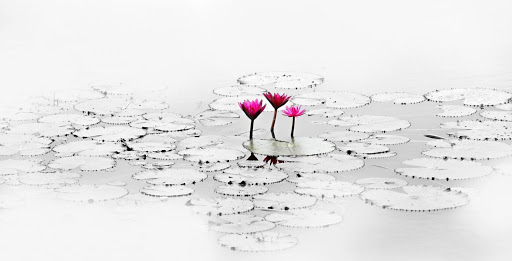 Alfafar - Benetússer Psicología en Alfafar, Valencia