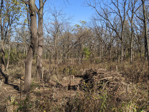 Learning Center «Sagawau Environmental Learning Center», reviews and photos, 12545 111th St, Lemont, IL 60439, USA