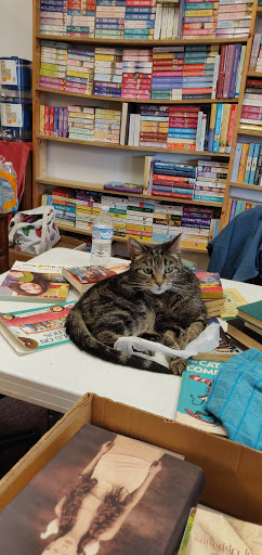 Used Book Store «R & B Used Books», reviews and photos, 12830 Saginaw Rd # F, Grand Blanc, MI 48439, USA