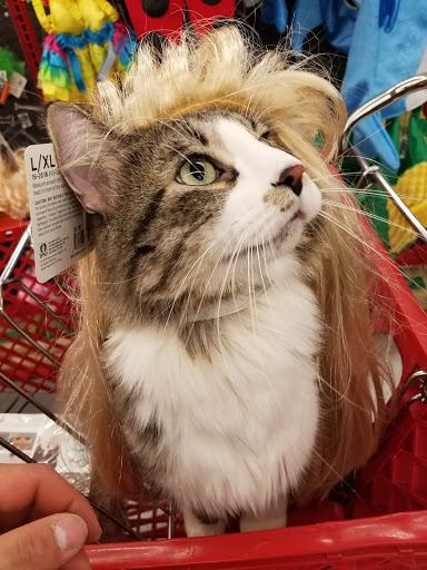 Pet Supply Store «Petco Animal Supplies», reviews and photos, 1970 S Robert St, West St Paul, MN 55118, USA