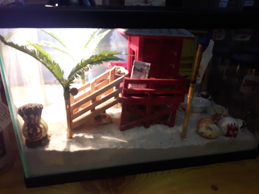 Tourist Attraction «Siesta Key Rum», reviews and photos, 2212 Industrial Blvd, Sarasota, FL 34234, USA