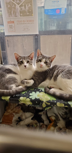 Pet Supply Store «PetSmart», reviews and photos, 1550 Butterfield Rd, Downers Grove, IL 60515, USA