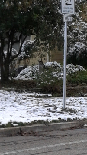 Auto Parts Store «NAPA Auto Parts - Leissner Auto Parts», reviews and photos, 270 E San Antonio St, New Braunfels, TX 78130, USA