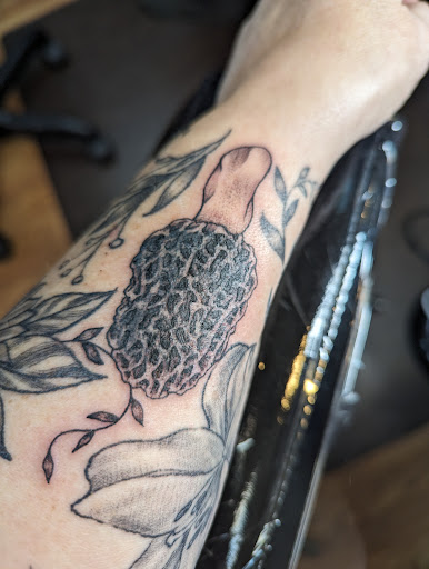 Explore tattoo ideas for men wolf, creative tattoo ideas in Dover, available at Ink Therapy Tattoo Studios llc