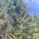 Photo n°3 de l'avis de chiara.r fait le 21/08/2022 à 21:28 sur le  Ristorante Pizzeria Bar Erica à San Lorenzo Dorsino