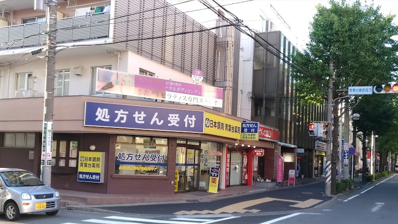 日本調剤 青葉台薬局