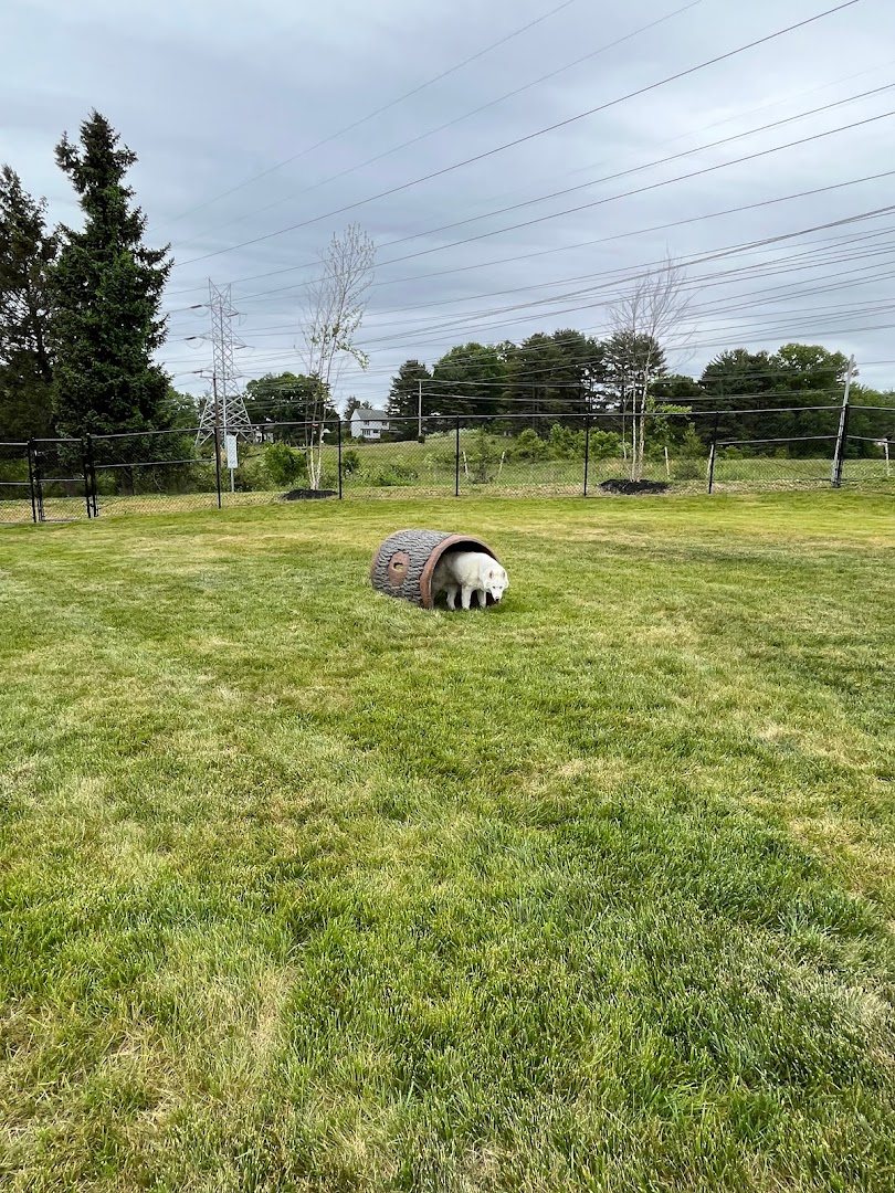 Montgomery Village Dog Park