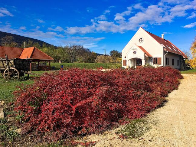 Tájház - Múzeum