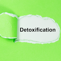 Body Equilibrium Cville - Photo 9 - Car repair in Charlottesville, VA, Charlottesville