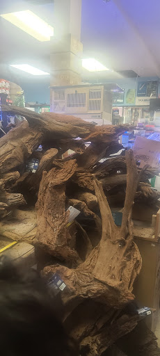 Aquarium «Tropical Treasures», reviews and photos, 3502 W Greenway Rd Suite 7, Phoenix, AZ 85053, USA