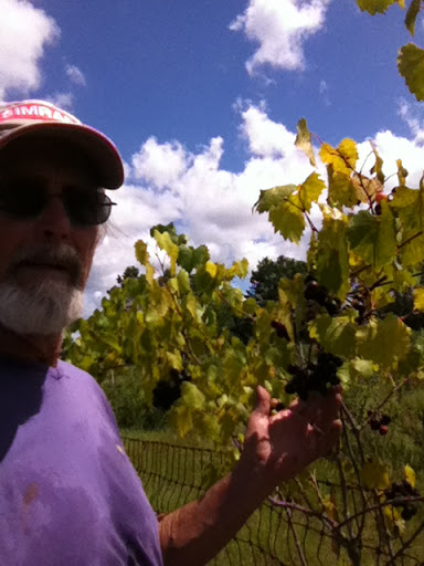 Winery «Hutchinson Farm Winery, LLC», reviews and photos, 8061 Stone Rd, Apopka, FL 32703, USA