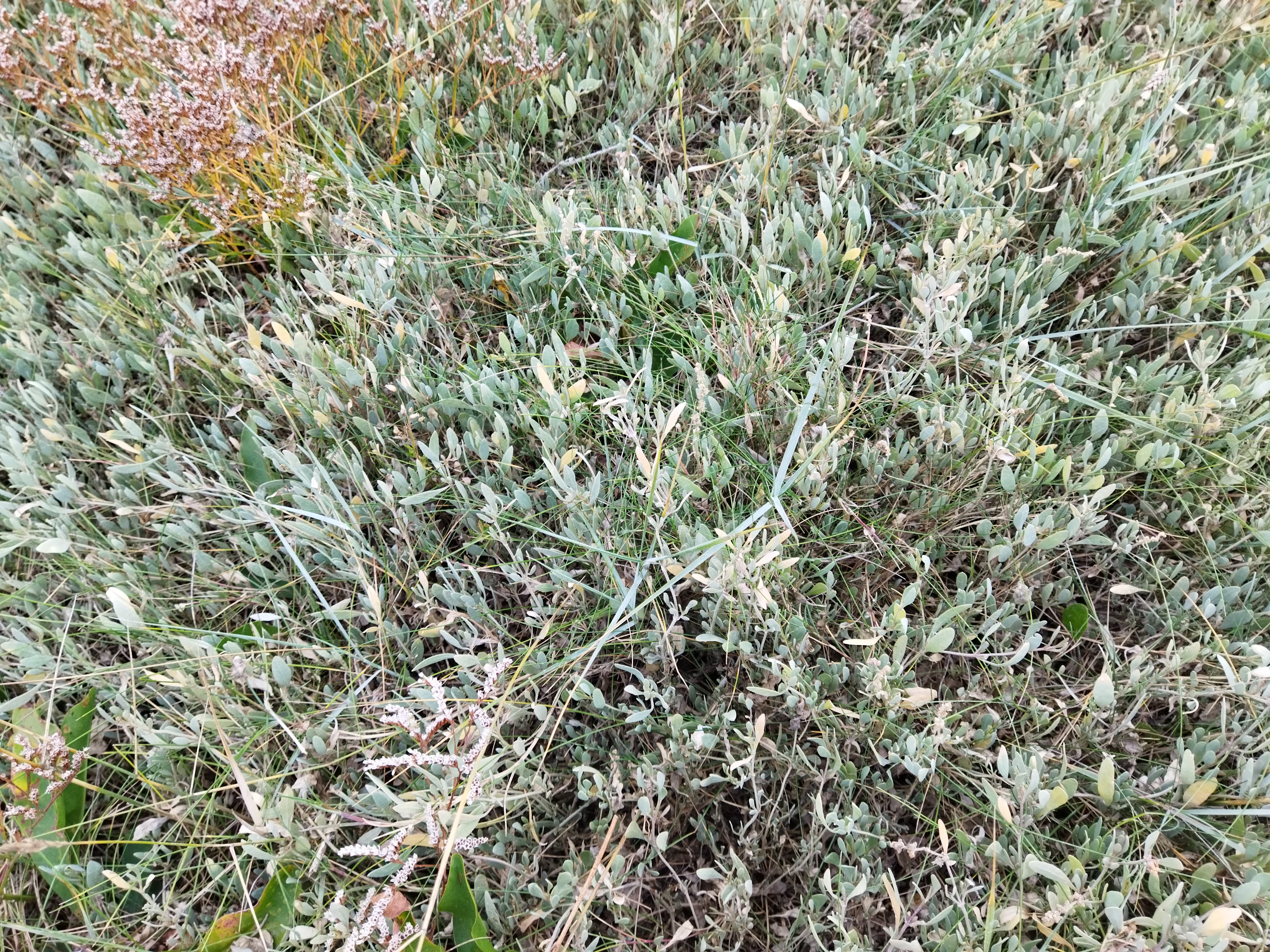 Photo n° 3 de l'avis de pascale.a fait le 27/09/2021 à 21:34