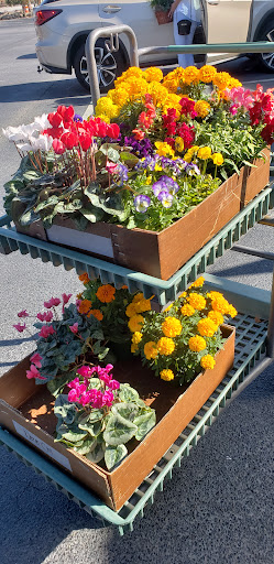 Home Improvement Store «The Home Depot», reviews and photos, 3051 W Radio Dr, Florence, SC 29501, USA