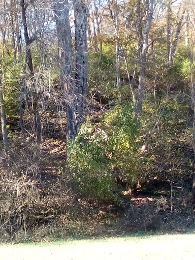 Bicycle Repair Shop «Cycling & Fitness Warehouse», reviews and photos, 213 N 3rd St, Richmond, IN 47374, USA