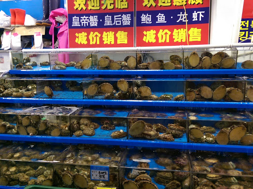 Reptile shops in Seoul