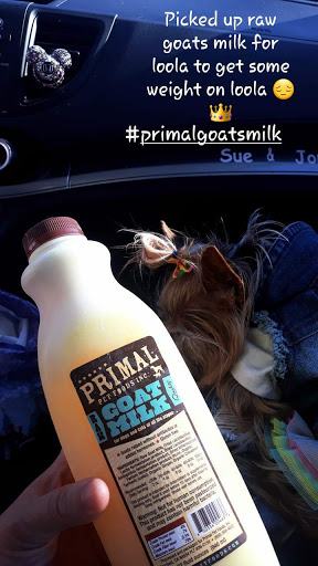 Pet Supply Store «Pet Supplies Plus», reviews and photos, 1168 Farmington Ave, Bristol, CT 06010, USA