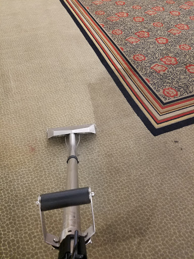 Elite Carpet Care of Raleigh