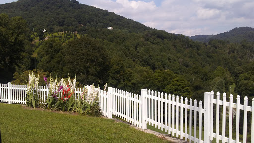 National Forest «Pisgah National Forest», reviews and photos, 1600 Pisgah Highway, Nebo, NC 28761, USA