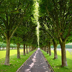 Photo n° 3 de l'avis de Charles.g fait le 31/07/2023 à 13:26 pour Saint Mihiel American Cemetery à Thiaucourt-Regniéville