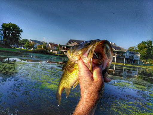 Golf Club «Patuxent Greens Country Club», reviews and photos, 14415 Greenview Dr, Laurel, MD 20708, USA