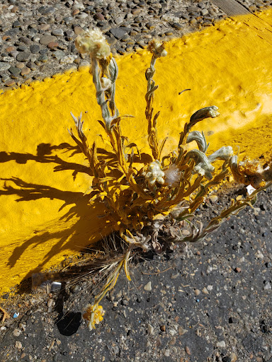 Pet Supply Store «Petco Animal Supplies», reviews and photos, 2805 E 29th Ave, Spokane, WA 99223, USA