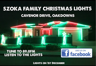 Szoka Family Christmas Lights