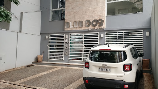 Logo da empresa - Blue Dog