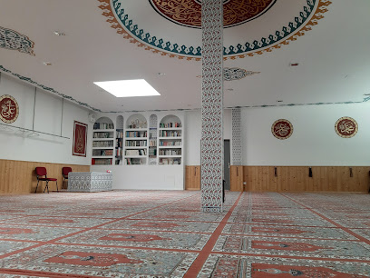 Fatih Moschee Zug