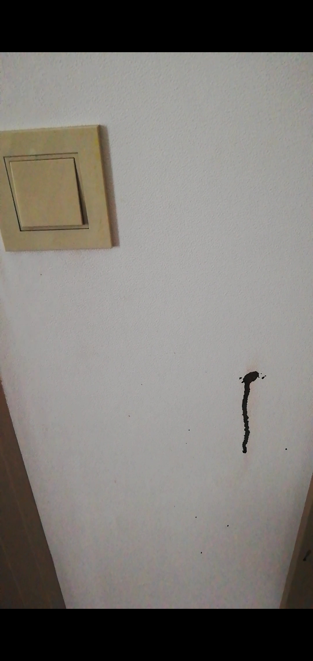 Photo n° 4 de l'avis de li.a fait le 21/11/2021 à 15:29