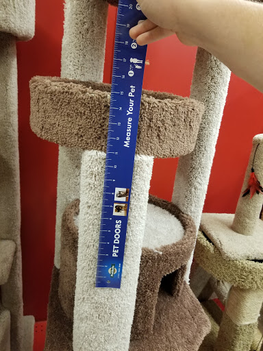 Pet Supply Store «Petco Animal Supplies», reviews and photos, 187 Stonebrook Pl, Jackson, TN 38305, USA