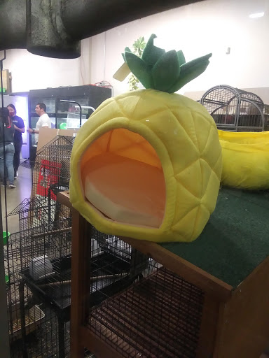 Pet Store «Super Pets», reviews and photos, 1807 E Chapman Ave, Orange, CA 92867, USA