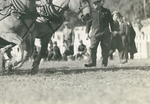 Winery «Belgian Horse Winery», reviews and photos, 7200 W County Rd 625 N, Middletown, IN 47356, USA