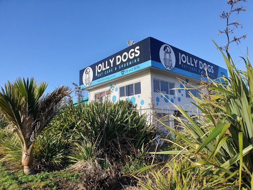 JollyDogs Daycare and Grooming